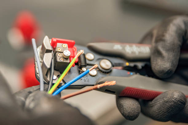 Best Licensed Electrician  in Pimlico, SC