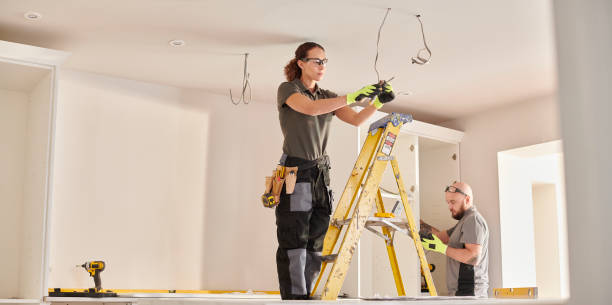 Best Electric Panel Repair  in Pimlico, SC